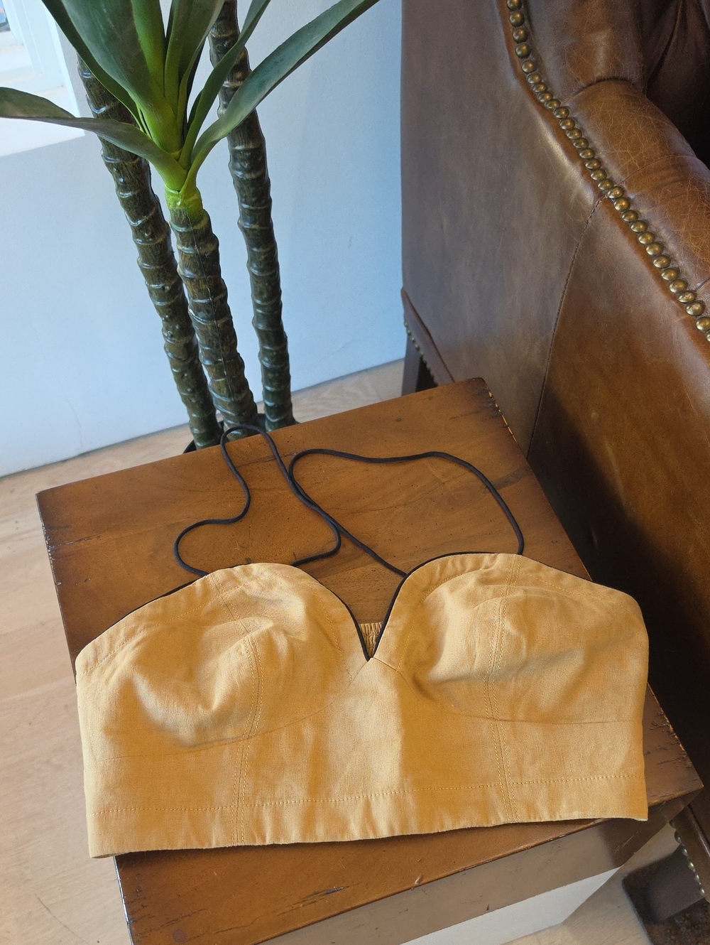 Anthropologie Bustier Top